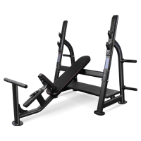 Скамья для жима наклонная Bronze Gym  BR-1014