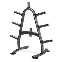 Стойка для дисков Bronze Gym BR-1022