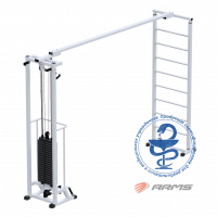Биотонус + шведская стенка ARMS (стек 100 кг) AR087.1х2400