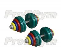 ГРЦ-60 Гантель ProfiGym разборная 60 кг цветная