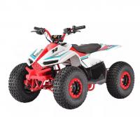 Электроквадроцикл VELOCIFERO MINI ATV 750W