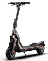 Электросамокат Ninebot Segway GT2