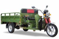 Электротрицикл Rutrike Алтай 2000 60V1500W Зеленый