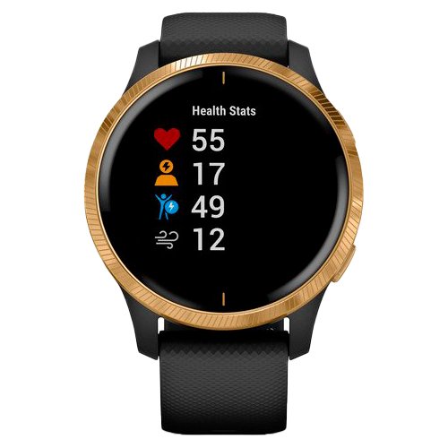 Часы для спорта Garmin Venu Gold Black