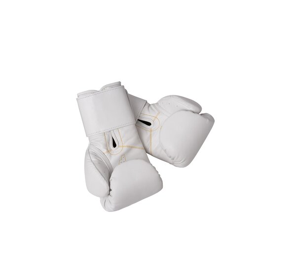 Боксерские перчатки Premium Filippov White