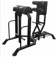 Гиперэкстензия GHD комбинированная Bronze Gym Partner AL-922