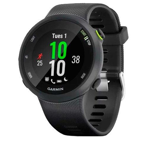 Часы для спорта Garmin Forerunner 45 Black