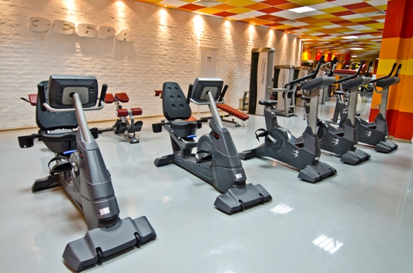 Велотренажер AeroFit 9500R 7"LCD