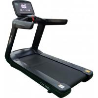Беговая дорожка CardioPower PRO СТ300