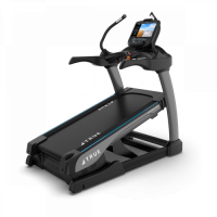 Беговая дорожка True Alpine Runner
