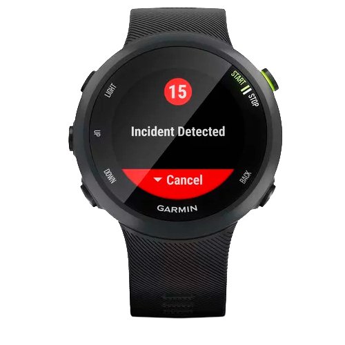 Часы для спорта Garmin Forerunner 45 Black