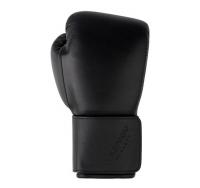 Боксерские перчатки Premium Filippov Black