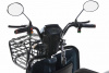 Электротрицикл E-motions' TRIKE TRANSFORMER без АКБ