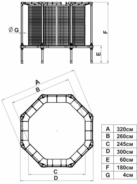 Батут Leco Starter 310 см