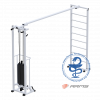 Биотонус + шведская стенка ARMS (стек 100 кг) AR087.1х2400