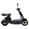 Электроскутер Skyboard Yalta 1200W Black