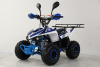 Квадроцикл MOTAX GRIZLIK MIKRO 110 NEW