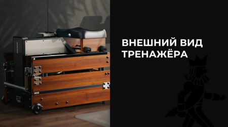 Гребной тренажер WalkingPad Kingsmith
