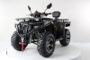 Квадроцикл Motax Grizlik 300
