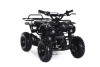 Квадроцикл Motax ATV Mini Grizlik X-16 (э/с) Черный