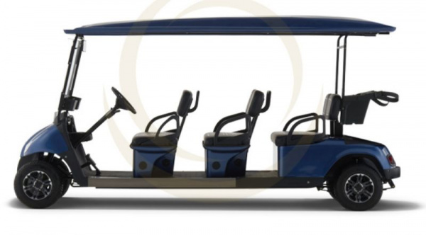 Гольфкар EWAY HM6