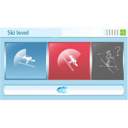 Горнолыжный тренажер Pro ski Simulator Standard