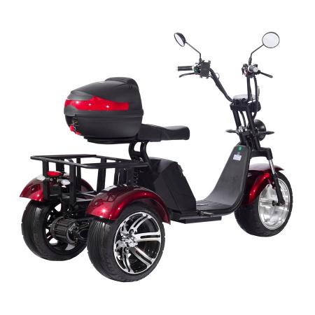 Электроскутер SkyBoard Trike BR80