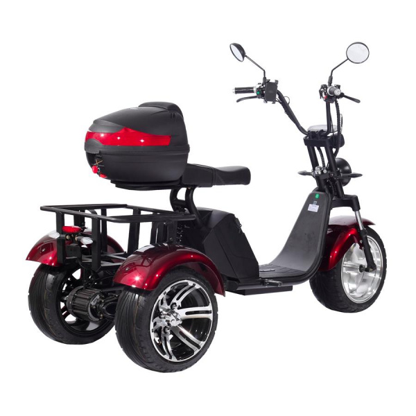 Электроскутер SkyBoard Trike BR80