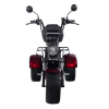 Электроскутер SkyBoard Trike BR80