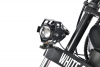 Электроскутер CityCoco White Siberia Pro 2WD 4000W Красный