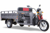 Электротрицикл Rutrike Алтай 2000 60V1500W Серый