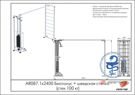 Биотонус + шведская стенка ARMS (стек 100 кг) AR087.1х2400
