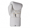 Боксерские перчатки Premium Filippov White