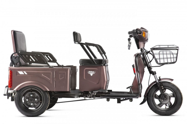 Электротрицикл Rutrike Вагон Черный