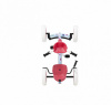 Веломобиль Berg Buzzy Bloom 2-in-1