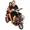Электротрицикл Elbike Адъютант A4