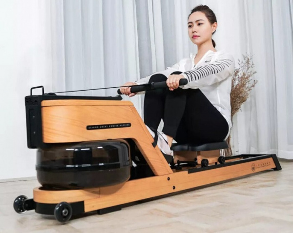 Гребной тренажер Xiaomi Xiao Mo Smart Rowing Machine Mini Brown mobi Smart