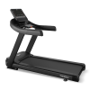 Беговая дорожка Bronze Gym T815M