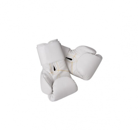 Боксерские перчатки Premium Filippov White