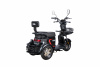 Электротрицикл WHITE SIBERIA SIBTRIKE L 2000W