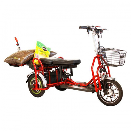 Электротрицикл Elbike Адъютант A4