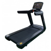 Беговая дорожка CardioPower PRO СТ300