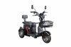 Электротрицикл WHITE SIBERIA SIBTRIKE L 2000W