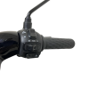 Электроскутер Skyboard Yalta 1200W Black