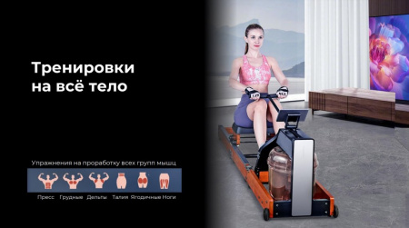 Гребной тренажер WalkingPad Kingsmith