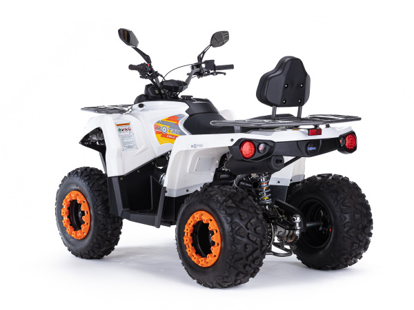 Квадроцикл Motax Grizlik 200 Ultra