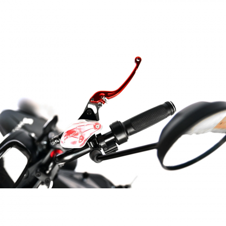 Электроскутер Skyboard FAR EAST 5000W