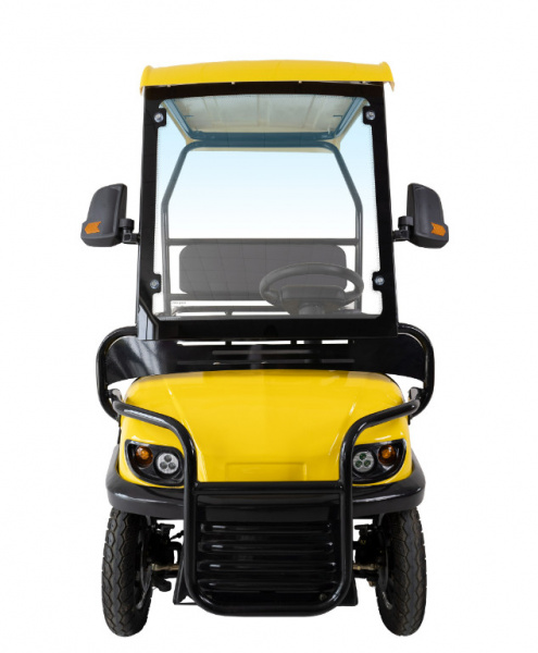 Гольфкар GreenCamel A2 ECO (2 seats 800W R8)