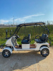 Гольфкар GreenCamel A40 (4 seats 2500W 225/40-10' литые)