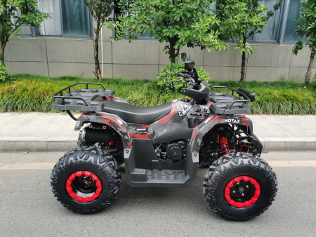 Квадроцикл Motax ATV Grizlik T 200 LUX Красный